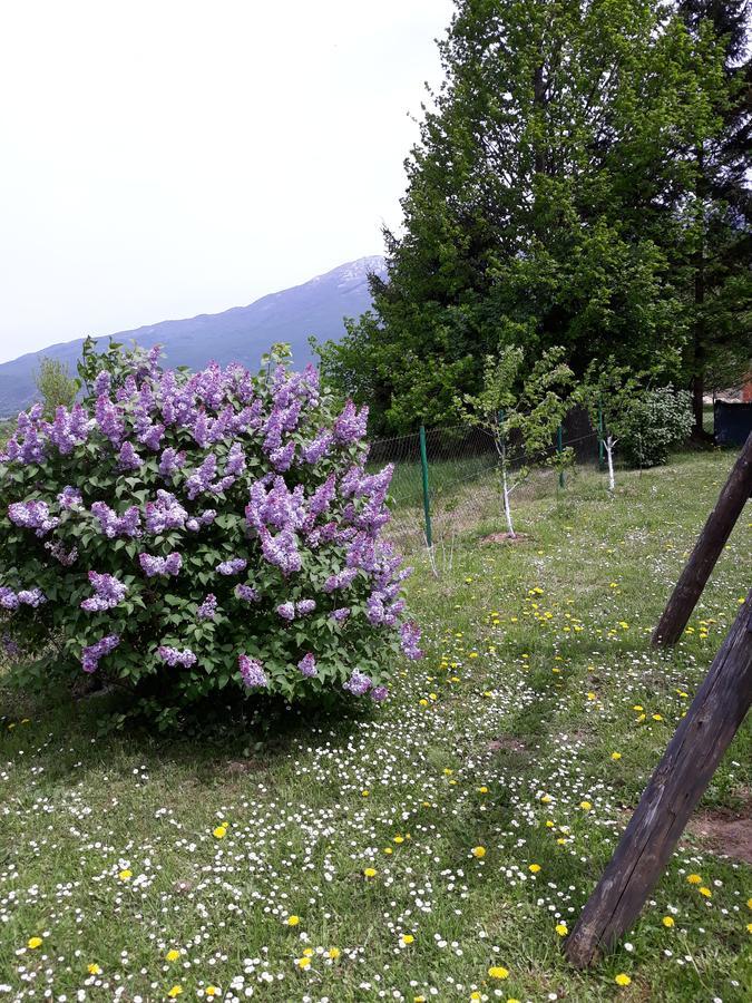 Apartment Gradina Korenica Bagian luar foto